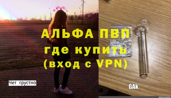 мет Алексин