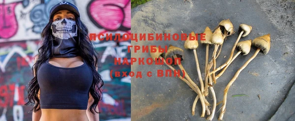 мет Алексин