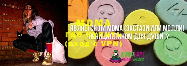 мет Алексин