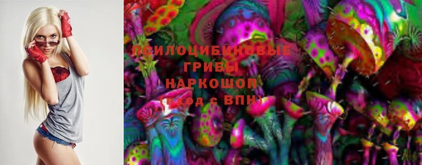 соль ск Алексеевка