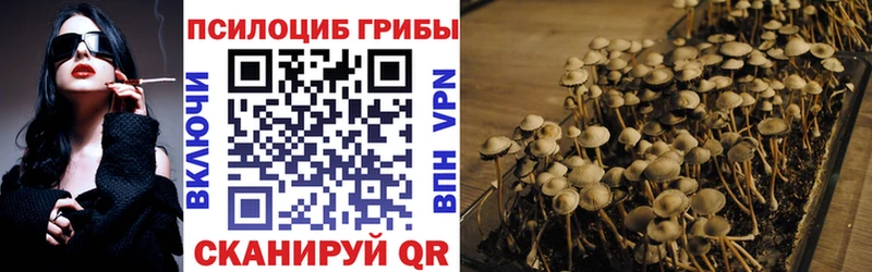 сколько стоит  Лаишево  Галлюциногенные грибы Psilocybine cubensis 